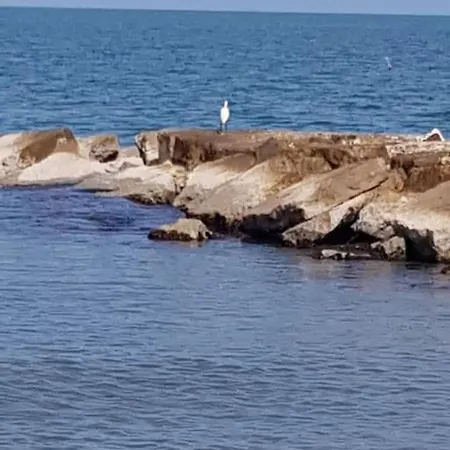 Parco Primavera Διαμέρισμα Trinitapoli
